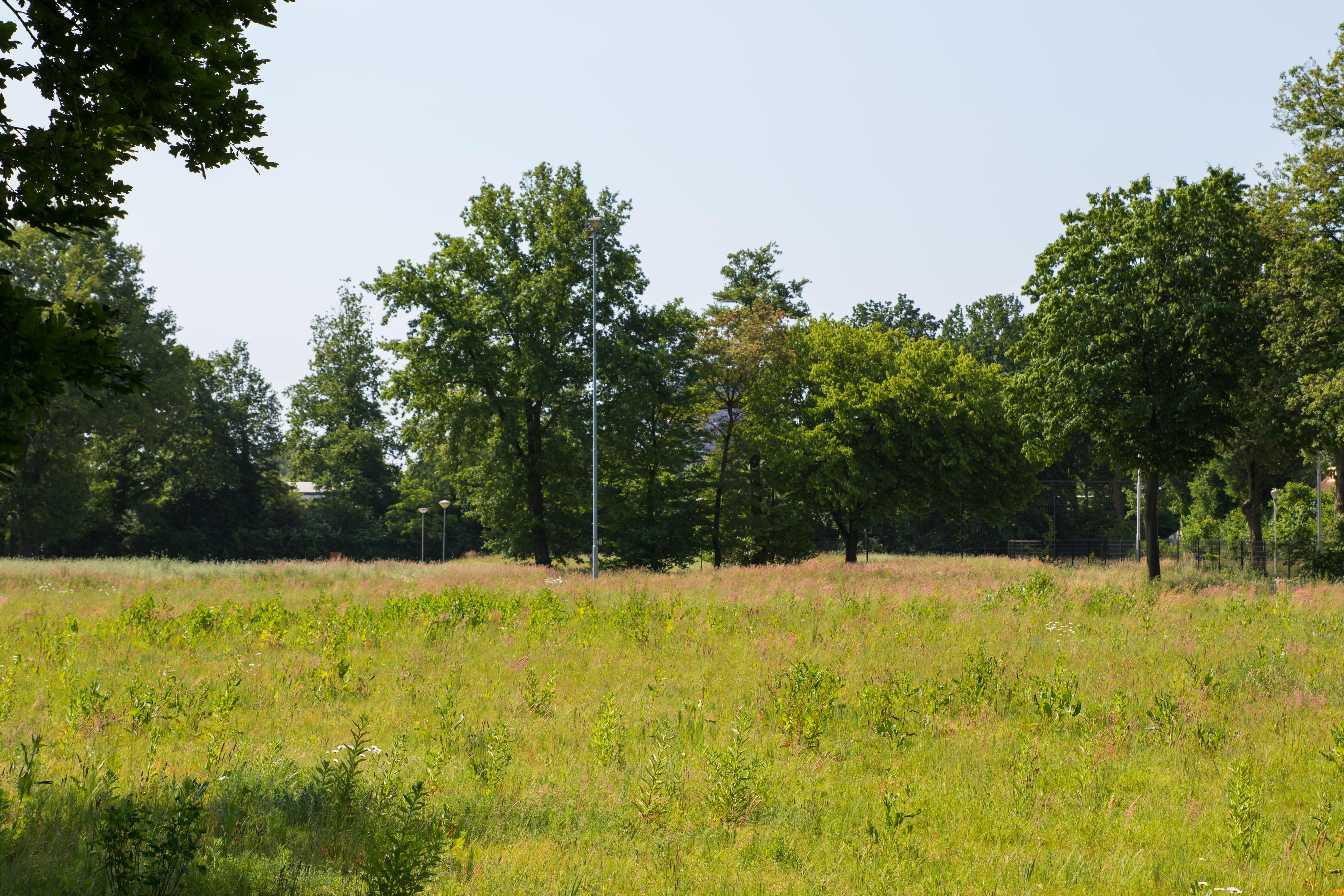 Sportpark TSV NOAD Tilburg | De Stadionautist