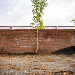 Cambuurplein