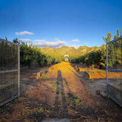Camp de Futbol de Marxuquera