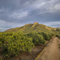 Camp de Futbol de Marxuquera