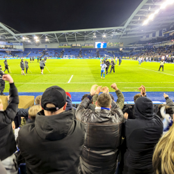 Brighton & Hove Albion