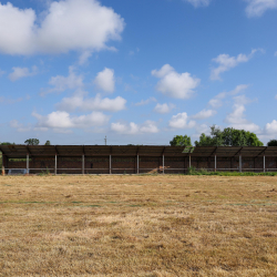Au sens Fond - Royal Stade Brainois