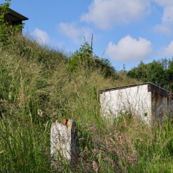 Au sens Fond - Royal Stade Brainois