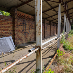 Au sens Fond - Royal Stade Brainois