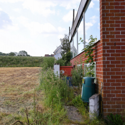Au sens Fond - Royal Stade Brainois