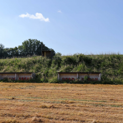 Au sens Fond - Royal Stade Brainois