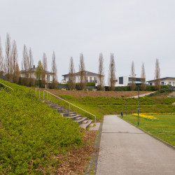 Bökelberg Stadion