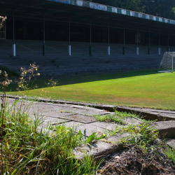 Stadion De Wageningse Berg