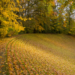 Drie Lindenstadion