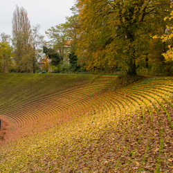 Drie Lindenstadion