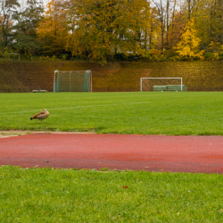 Drie Lindenstadion