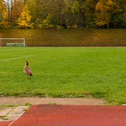 Drie Lindenstadion