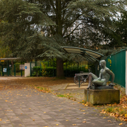 Drie Lindenstadion