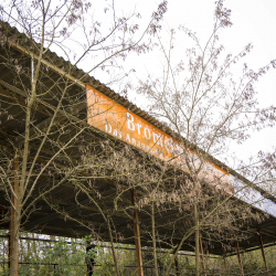 Ehemalige Radrennbahn Saarbrücken