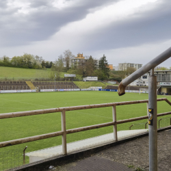 Ellenfeldstadion - Heimat seit 1912