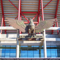 SL Benfica - Onsympathieke kutclub