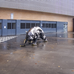 Estádio do Bessa - Boavista FC