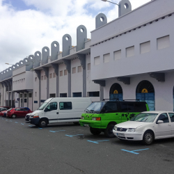 Parque del Estadio Insular