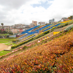 Parque del Estadio Insular