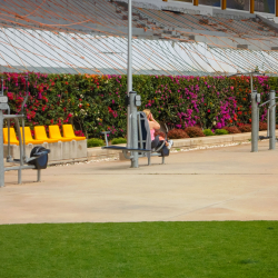 Parque del Estadio Insular