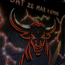 Frans Heesen Stadion - TOP Oss