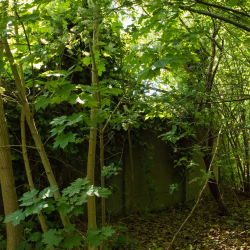 Gemeentelijk Parkstadion