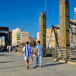 Estadio La Rosaleda - Málaga CF