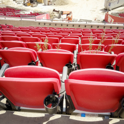 Los Angeles Memorial Coliseum