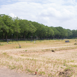 Sportpark De Berckt