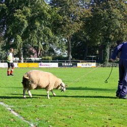 Sportpark Gersloot - VV Gersloot