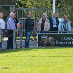 Sportpark Kalverdijkje Zuid - VV Nicator