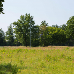 Sportpark TSV NOAD Tilburg - NOAD