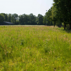 Sportpark TSV NOAD Tilburg - NOAD