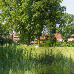 Sportpark TSV NOAD Tilburg - NOAD