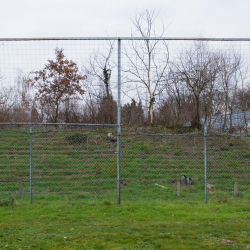 Stadion De Kraal - VVV