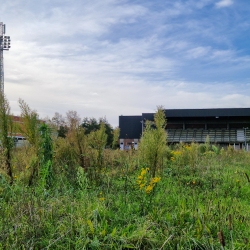 Stadion De Schalk - Atletiekpiste