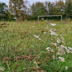 Stadion De Schalk - Atletiekpiste