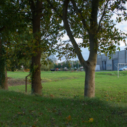 Stadion Edelhert De Lille - FC Sobemai