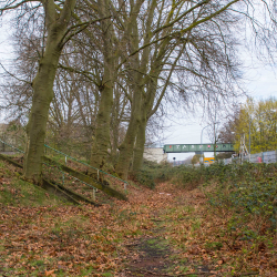 Stadion Mathias Stinnes - Rot-Weiss Altenessen