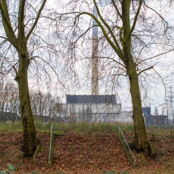 Stadion Mathias Stinnes - Rot-Weiss Altenessen