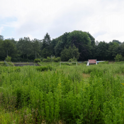 Christopeit Sports Arena