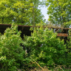 Stadion Sportpleinstraat - Cercle Tongeren