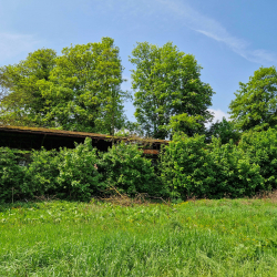 Stadion Sportpleinstraat - Cercle Tongeren