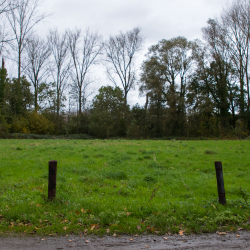 Stadion Zavelputstraat - Rode Duivels Denderleeuw