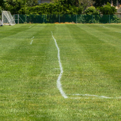 Sunnyvale Soccer Complex - Sunnyvale Alliance Soccer Club