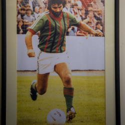 The Oval - Glentoran FC