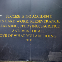 The Oval - Glentoran FC