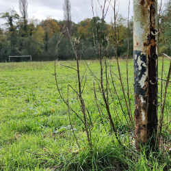 Veltwijckparkstadion - Germinal Ekeren