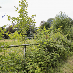 Werner Lehmann Stadion