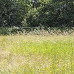 Werner Lehmann Stadion